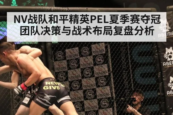 NV战队和平精英PEL夏季赛夺冠团队决策与战术布局复盘分析 - jiuyou