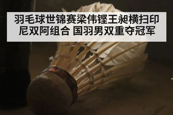 羽毛球世锦赛梁伟铿王昶横扫印尼双阿组合 国羽男双重夺冠军 - jiuyou