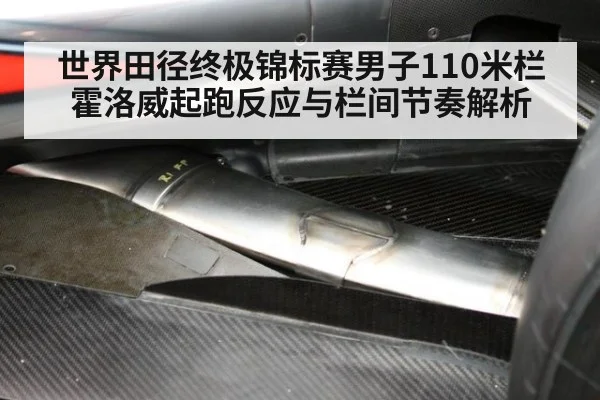 世界田径终极锦标赛男子110米栏霍洛威起跑反应与栏间节奏解析
